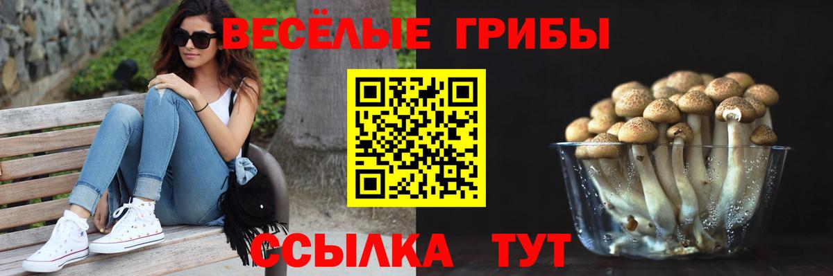 Артёмовский  Псилоцибиновые грибы GOLDEN TEACHER  Галлюциногенные грибы GOLDEN TEACHER  Вход с VPN 